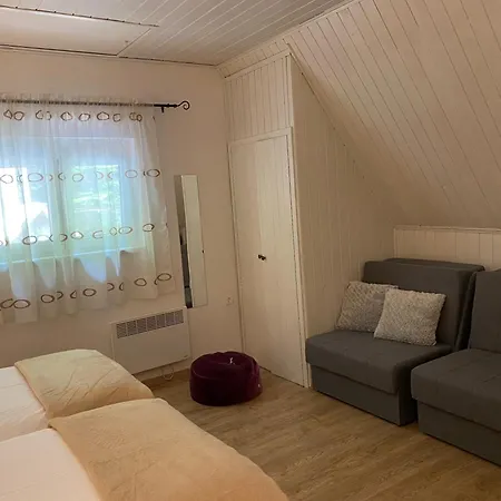 펜션 House With A Parking Space Zlobin, Gorski Kotar - 15452 *
